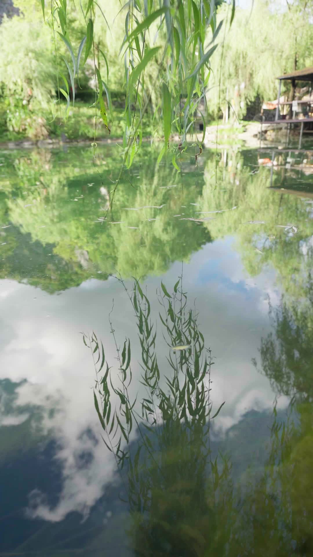 Folge 20 - Aus Verrat entstand Liebe